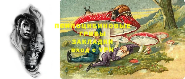 тгк Арсеньев