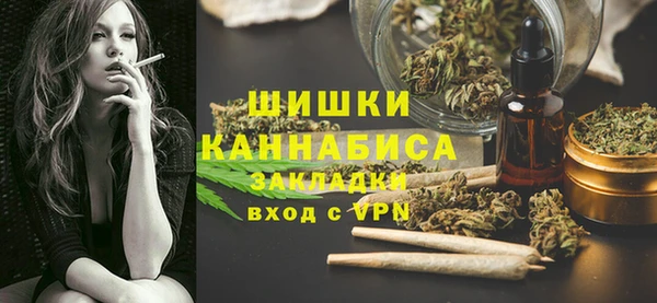 тгк Арсеньев