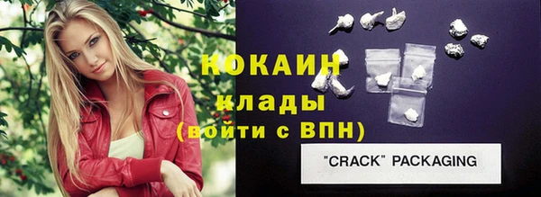 тгк Арсеньев