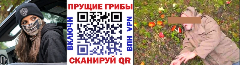 Псилоцибиновые грибы Magic Shrooms  цена наркотик  Новоульяновск 